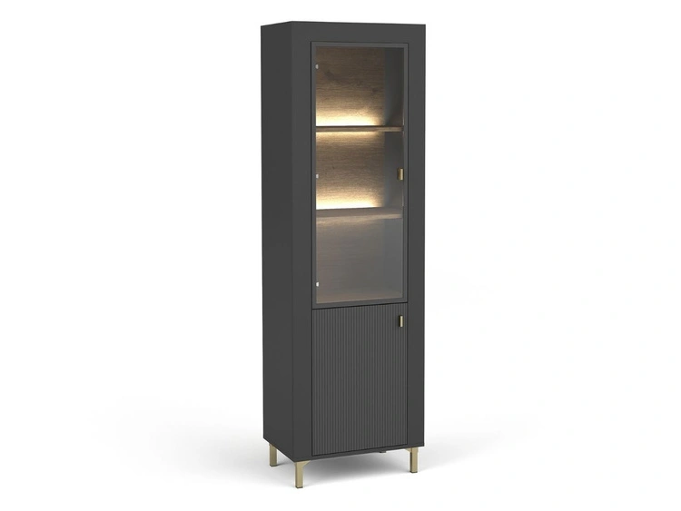 Schmale Standvitrine mit LED-Beleuchtung Messina Schwarz