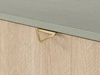 TV-Lowboard mit Türen Modena Grün 