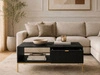 Couchtisch mit Stauraum Amber Schwarz, Gold Frame