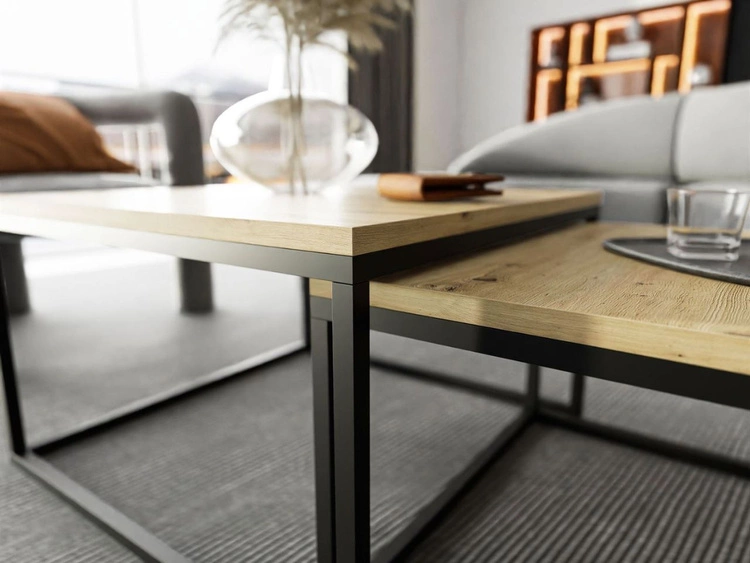 Wohnzimmer-Set im Loft-Stil Asumi Schwarz und Eiche Wotan